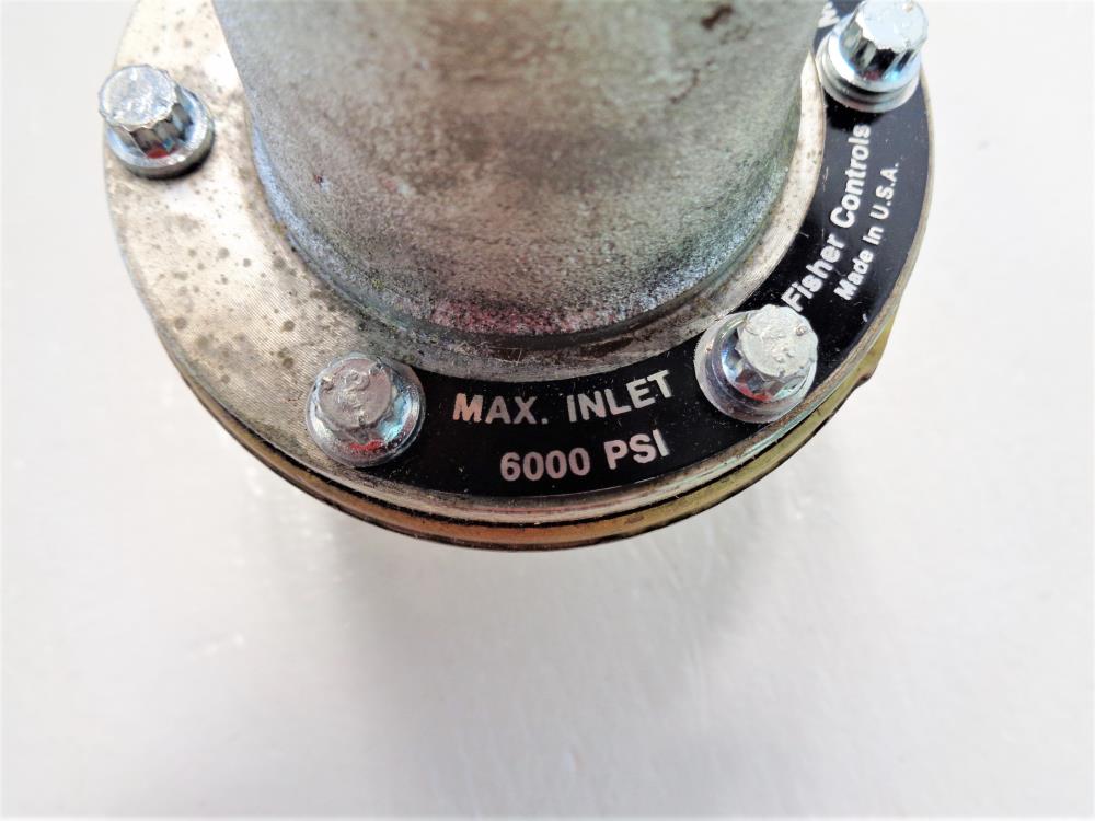 Fisher Regulator, 1/2" NPT, Brass, 6000 PSI, 1301F1